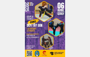 COUPE FRANCE TAY SON